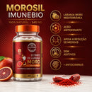 Suplemento Extrato de Laranja Moro Morosil- 540 Mg + Antocianinas 60 Caps
