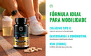 Colágeno Tipo 2 CGM + Glucosamina + Condroitina + MSM 60 Caps; Premium (1)