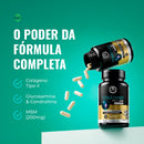 Colágeno Tipo 2 CGM + Glucosamina + Condroitina + MSM 60 Caps; Premium (1)