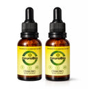 Kit 2 NeuroBio – Memória  Foco e Concentração - 30 ML