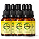 Kit 8 NeuroBio – Memória  Foco e Concentração - 30 ML