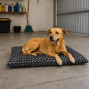 Colchonete Pet Simples Grande Cor:Preto